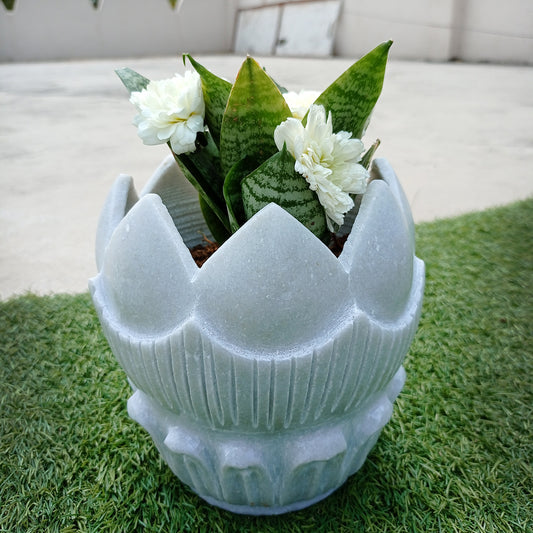 Introducing Marbele: Timeless Elegance in Rose-Shaped Decor